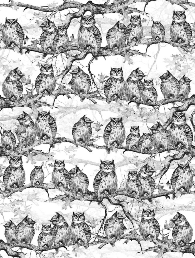 Owls resort Londonart