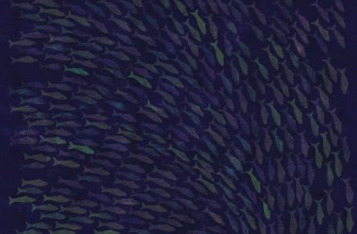 Rainbow fish Londonart