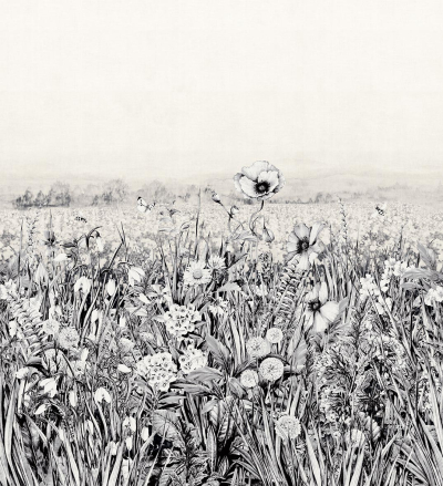 King poppy Londonart
