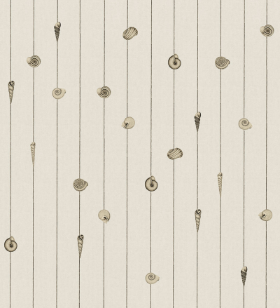 Conchiglie Londonart