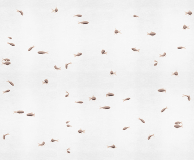 Pesci rossi Londonart