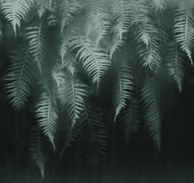The breath of ferns Londonart