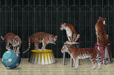 Tigers Londonart