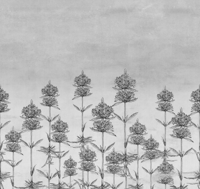 Natural Eeuphoria Londonart