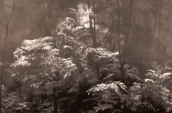 Into The Woods Londonart