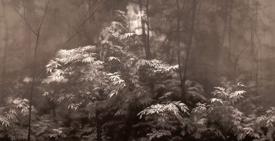 Into The Woods Londonart