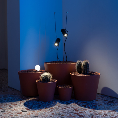 Grillo Davide Groppi