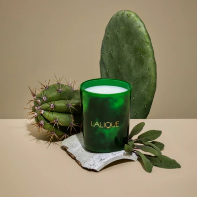 The Cenote, Tulum - Mexico, Scented Candle Lalique