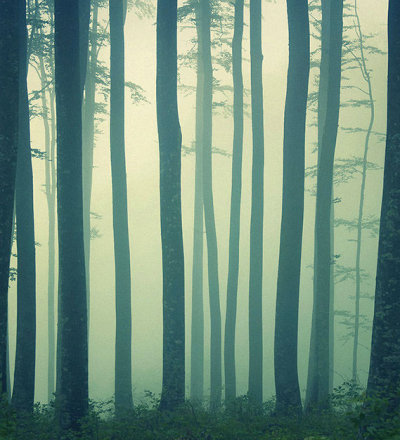 In the absense of the truth Londonart