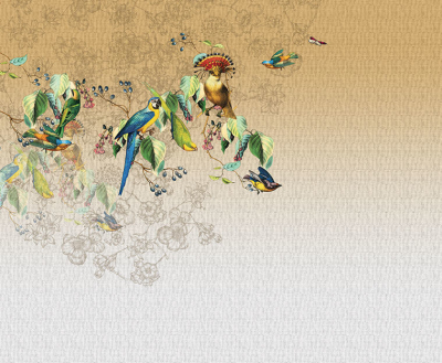 Vallery's parrot Londonart