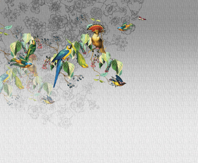 Vallery's parrot Londonart