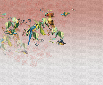 Vallery's parrot Londonart