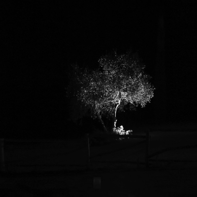 Out 58 Davide Groppi