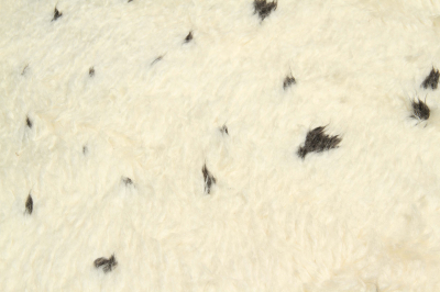 Moroccan MT06 Touch Amini Carpets