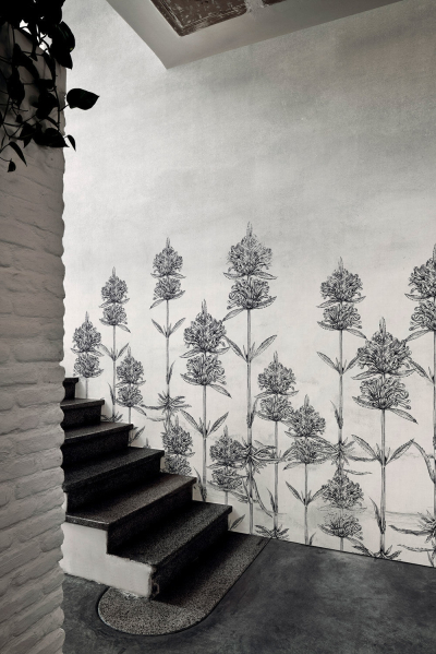 Natural Eeuphoria Londonart