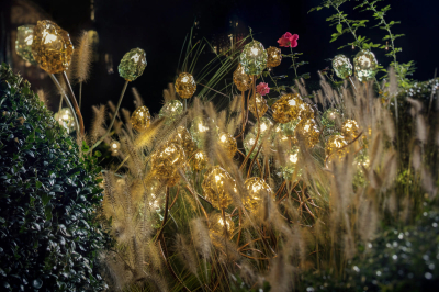 More F Catellani Smith