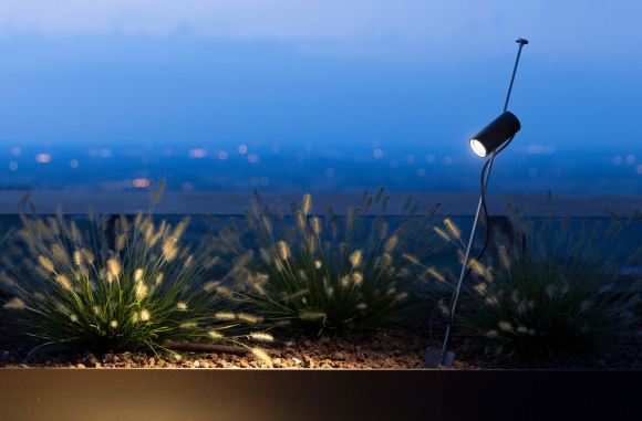 Grillo Davide Groppi