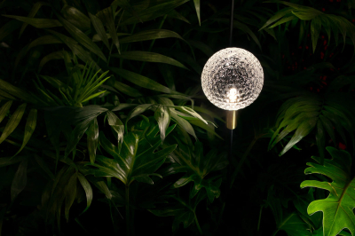 Syphasfera Catellani Smith