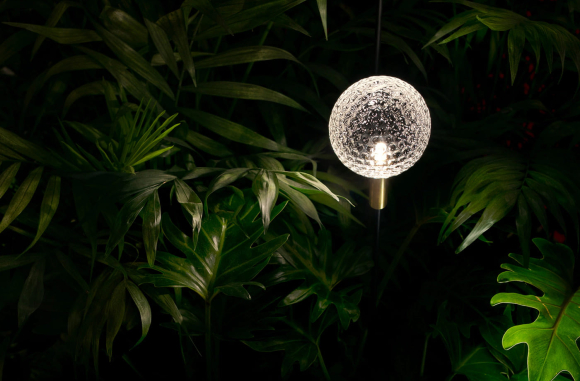 Syphasfera Catellani Smith