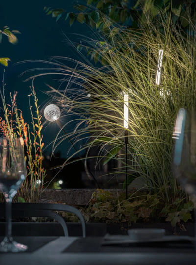 Syphasera Catellani Smith