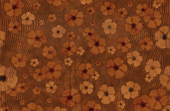 A saucerful of secrets Londonart